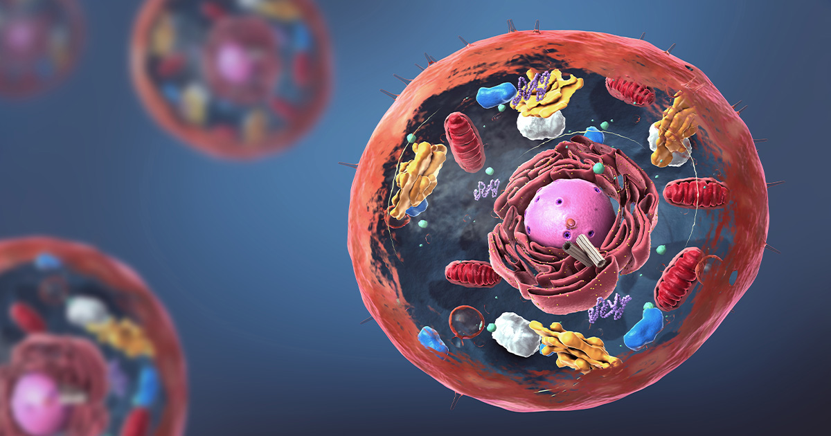 Structure of a cell